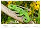 Thumbnail-11