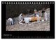 Thumbnail-14