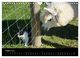 Thumbnail-10