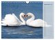 Thumbnail-11