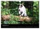 Thumbnail-14