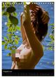 Thumbnail-13