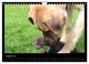 Thumbnail-10