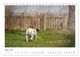 Thumbnail-9