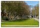 Thumbnail-14