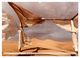 Thumbnail-9