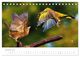 Thumbnail-12