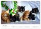 Thumbnail-9