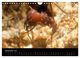 Thumbnail-14