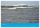 Thumbnail-10