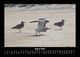 Thumbnail-12