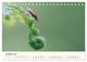 Thumbnail-12
