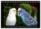 Thumbnail-9