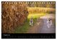 Thumbnail-13