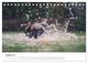 Thumbnail-13