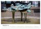 Thumbnail-11