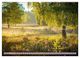 Thumbnail-8