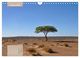 Thumbnail-9