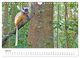 Thumbnail-9