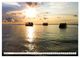 Thumbnail-8