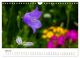 Thumbnail-12