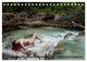 Thumbnail-8