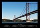 Thumbnail-10