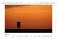Thumbnail-9