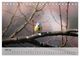 Thumbnail-10