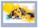 Thumbnail-12
