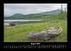 Thumbnail-12