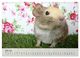 Thumbnail-12