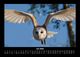 Thumbnail-11