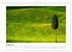 Thumbnail-10