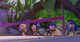 Thumbnail-11