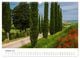 Thumbnail-12