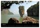 Thumbnail-9