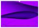 Thumbnail-10
