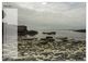 Thumbnail-11