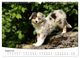 Thumbnail-13