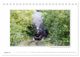 Thumbnail-13