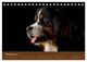Thumbnail-14