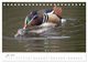 Thumbnail-12