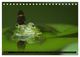 Thumbnail-12