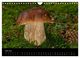 Thumbnail-8