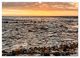 Thumbnail-14