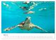 Thumbnail-10