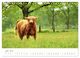 Thumbnail-12