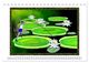 Thumbnail-11