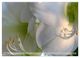 Thumbnail-13
